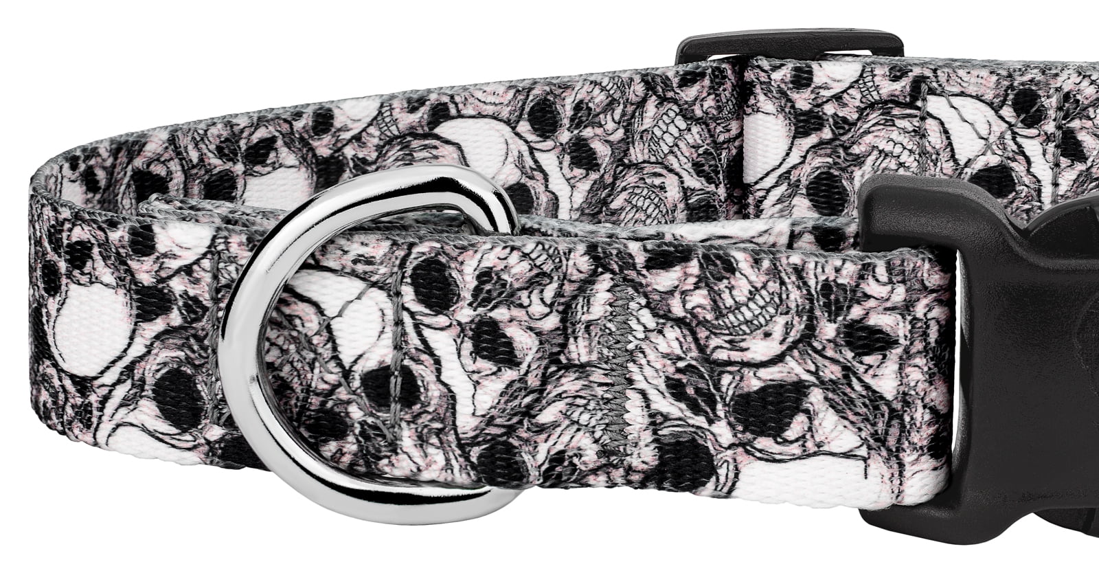 Country Brook Petz® Phantom Skulls Everyday Dog Collar and Leash, Small