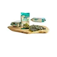 thumbnail image 4 of Roasted Seaweed Snacks, Sea Salt Flavor (0.17 oz / 5 g Each) Pack of 9, 4 of 5