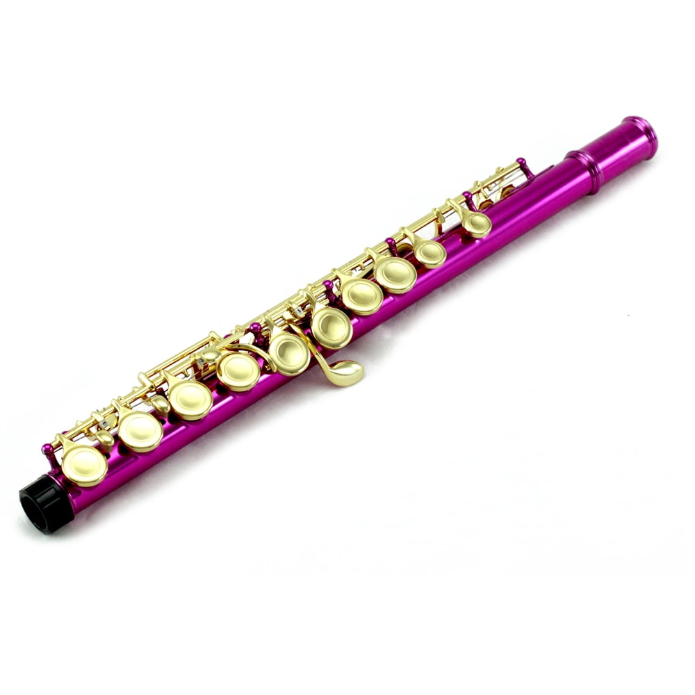 Sky C Flute with Lightweight Case, Cleaning Rod, Cloth, Joint Grease and Screw Driver - Hot Pink/Gold Closed Hole