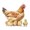 thumbnail image 2 of Pegatina de pared de PVC con diseño de pollos y gallinas, fácil de quitar, para decoración de ventanas, hoteles, baños, casas y cocinas., 2 of 8