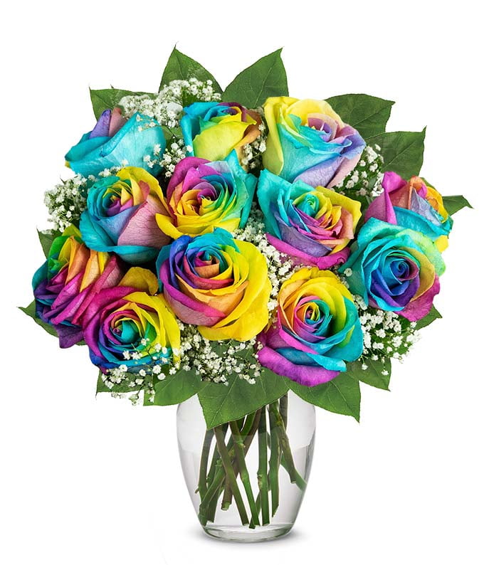 Image of Wild rose in a vase