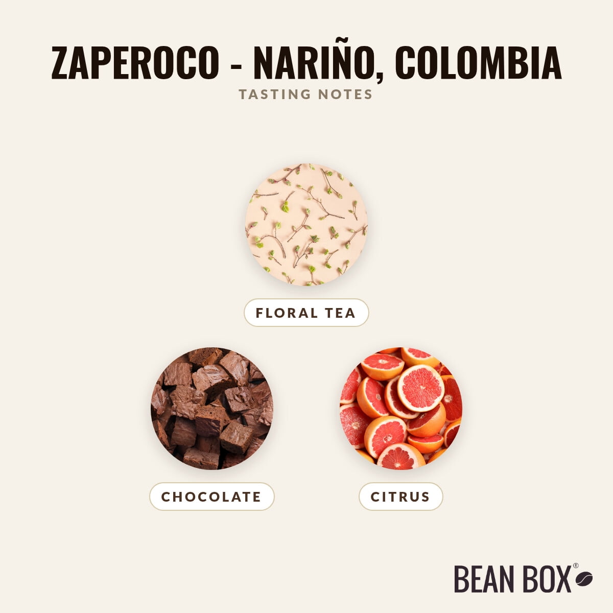 Zaperoco - Nariño, Colombia - Roasted by Pavement Coffeehouse - Whole Bean Coffee - 2lb Bag