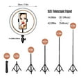 thumbnail image 2 of 20cm Fill Light Ring Light Supplementary Light LED Light Folding Fill Light for Photography Live Stream Makeup YouTube Video with Tripod Stand Remote Shutter, 2 of 7
