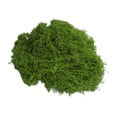 thumbnail image 1 of Musgo verde artificial de 30/100 g para manualidades, plantas de interior, jardines de hadas, centros de mesa, peceras, micropaisajes, musgo artificial decorativo., 1 of 8
