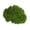 C, variant on Ruanlalo 30/100G Artificial Green Moss DIY Crafts Indoor Plants Fairy Gardens Table Centerpieces Fish Tanks Microlandscape Decorative Fake Moss