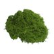 thumbnail image 1 of Musgo verde artificial de 30/100 g para manualidades, plantas de interior, jardines de hadas, centros de mesa, peceras, micropaisajes, musgo artificial decorativo., 1 of 8