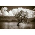 thumbnail image 2 of Bishop, Russ 24x17 Black Ornate Wood Framed with Double Matting Museum Art Print Titled - The Wanaka tree-Lake Wanaka-Otago-South Island-New Zealand, 2 of 4
