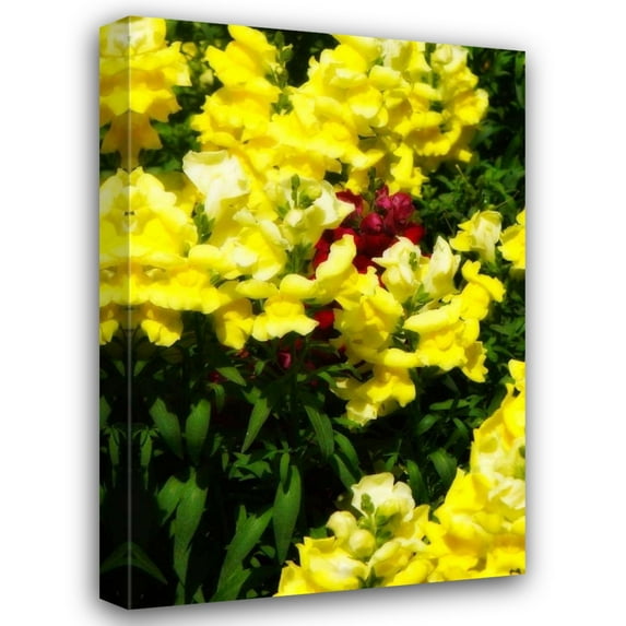 Alan Hausenflock 28x40 Gallery Wrapped Canvas Wall Art Titled - Garden Glory IV