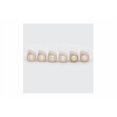 thumbnail image 3 of Dr. Pulley 15x12 Sliding Roller Weights 3 Gram, 3 of 4