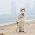 thumbnail image 3 of Correa para Perro ZippyPaws Climbers Cuerda 2 cm x 1,8 m Azul Verdoso, 3 of 5