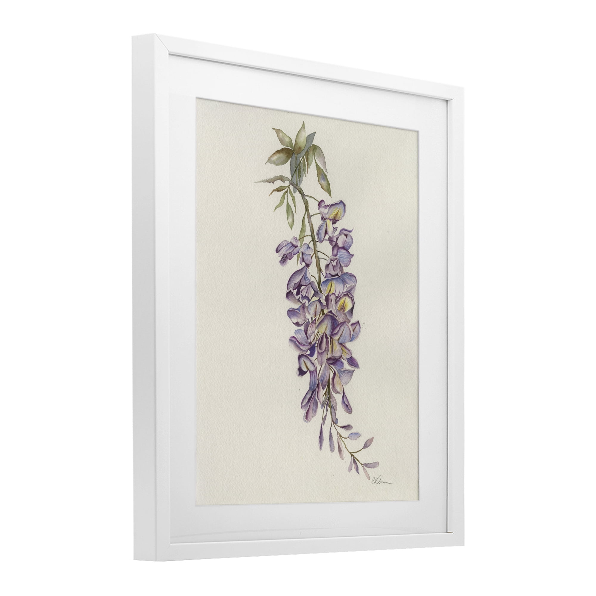 Stupell Industries Delicate Hyacinths Study White Framed Print Under Glass, design by Cady Driver