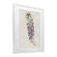 thumbnail image 2 of Stupell Industries French Country Delicate Hyacinths Study White Framed Print Under Glass, 17 x 21, by Cady Driver, 2 of 8