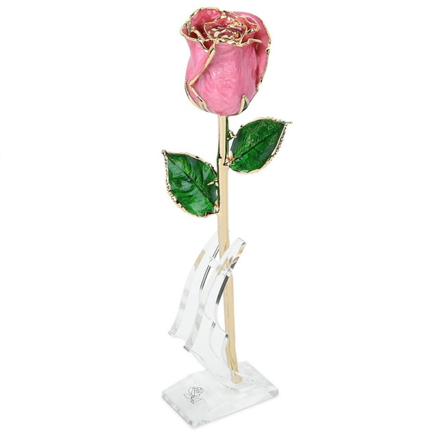 Rosa Chapada En Oro Líneas Claras De Color Más Brillante Flor De Rosas De 24 Quilates Con Una Base Para Adornos Para Regalos Para Colección ANGGREK Arte y Manualidades