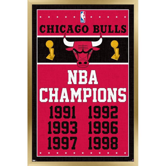 NBA Chicago Bulls - Champions 13