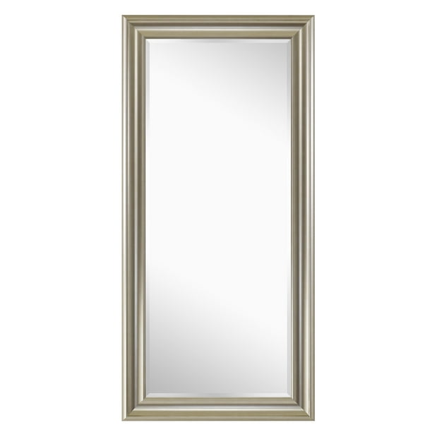Framed Floor Mirror Champagne 65" x 31" by Naomi Home