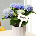 thumbnail image 4 of Paquete de 50 etiquetas para plantas Zulema Etiqueta de plantas Cuadrado, 4 of 8