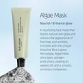 thumbnail image 4 of Mascarilla facial Blue Lagoon Nourishing Algae 75 ml para aumentar el colágeno, 4 of 8
