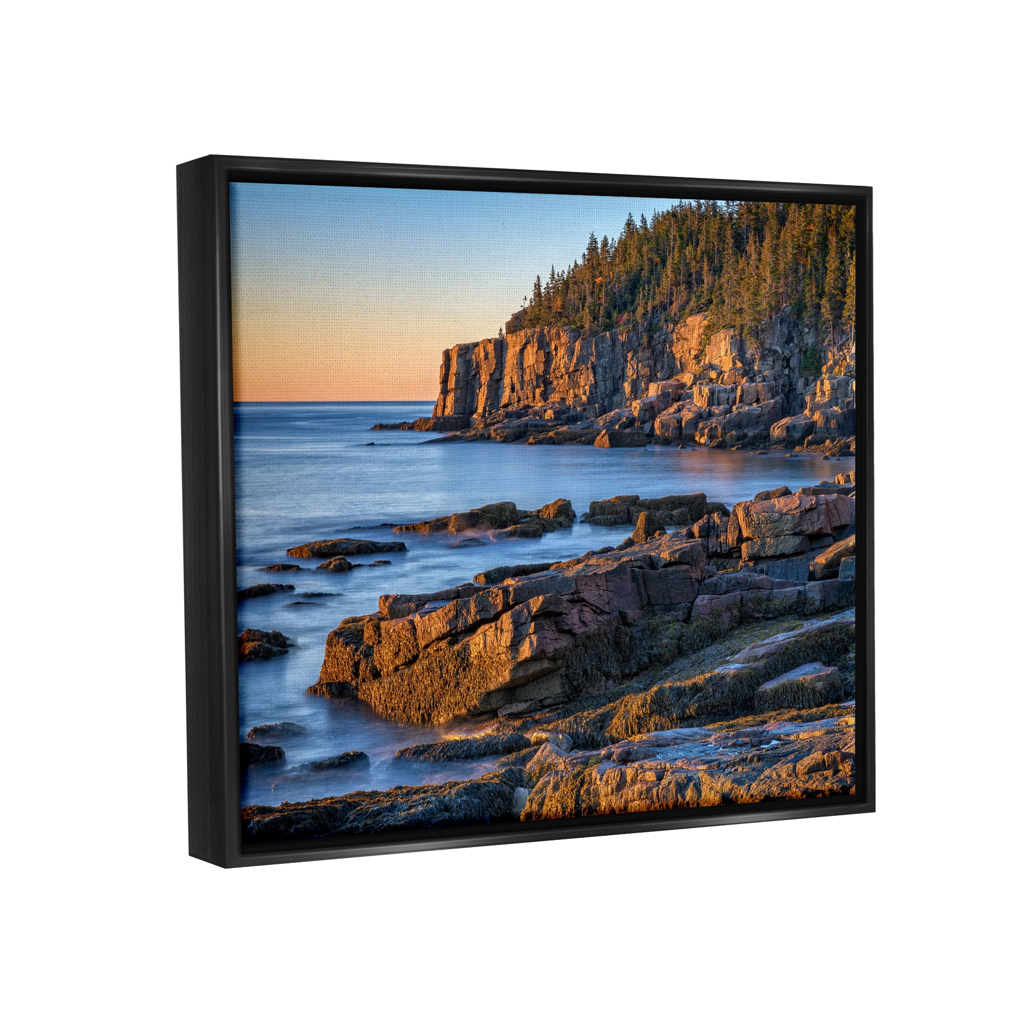 Stupell Rocky Cove Ocean Cliffs Landscape Photography Black Floater Framed Art Print Wall Art