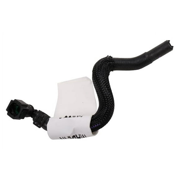 Radiator Surge Tank Inlet Hose