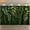 5x3FT, variant on Dark Green and Light Green Vine Leaves Wall Backdrop Layered Green Leaves Background Tropical Greenery Leaves Party Decorations Banner Supplies Photo Booth Props
