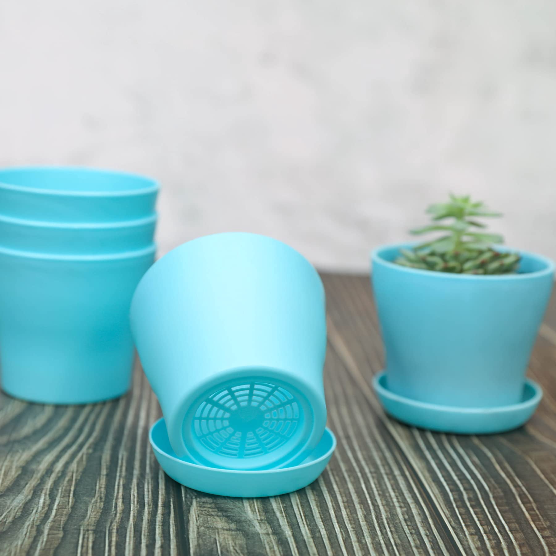 10 Pcs Modern Indoor Plastic Flower Pots with Pallets, Mini Decorative Planters for Seedlings, Herbs, Succulents & Indoor Gardening Supplies