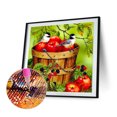 thumbnail image 2 of Wdftyju Kits de pintura de diamante 5D DIY Cuadro de mosaico de pájaro de taladro redondo completo (X787) Wdftyju 7ws3dw1bb1yb0ll2D02, 2 of 9