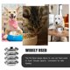thumbnail image 4 of 2 cuencos de acero inoxidable para perros y gatos, de metal, para comida y agua, recipiente para comida, cuenco para perros, 4 of 7