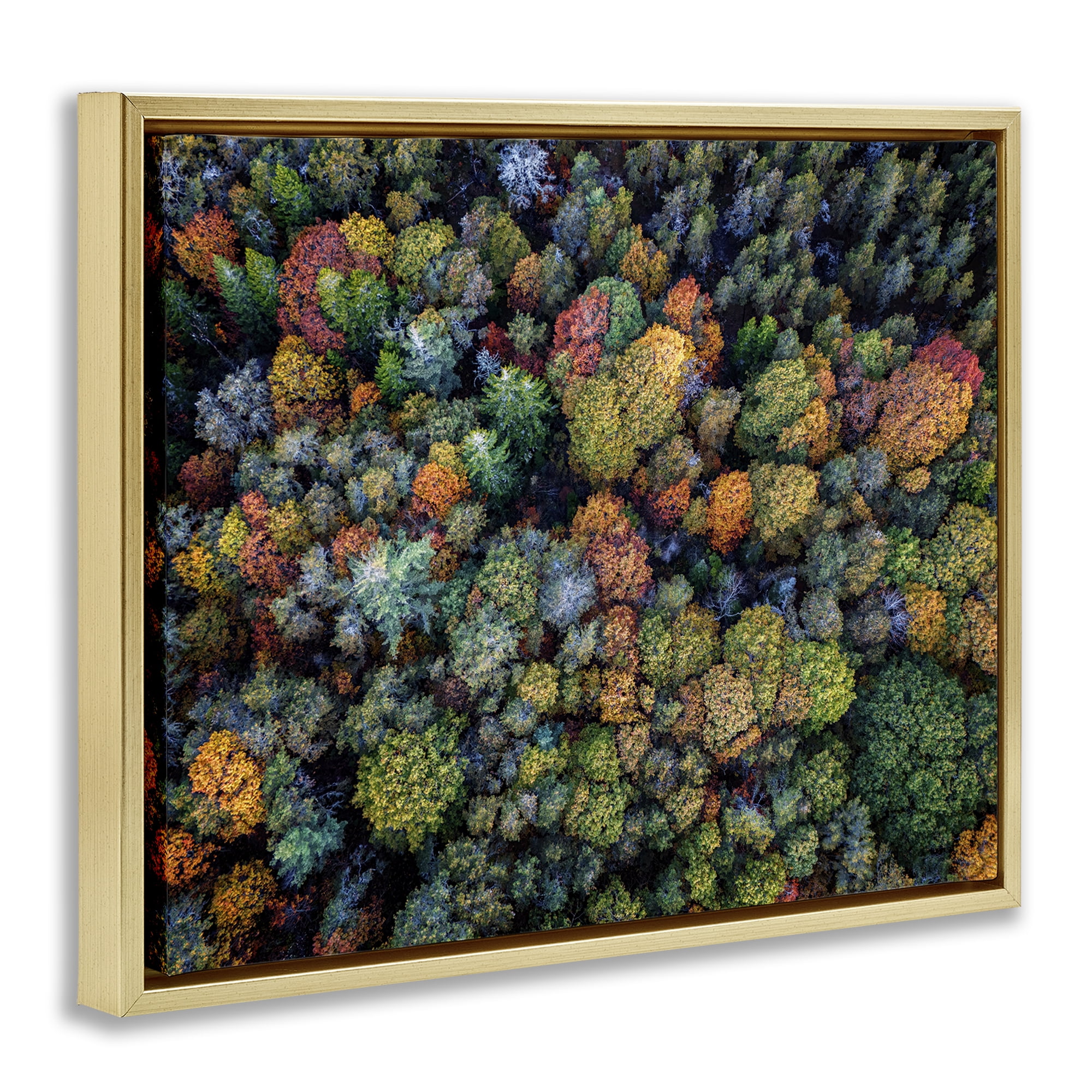 Stupell Industries Aerial View Autumnal Foliage Landscape & Nature Photography Gold Floater Framed Canvas Art Print Wall Art, 21 x 17
