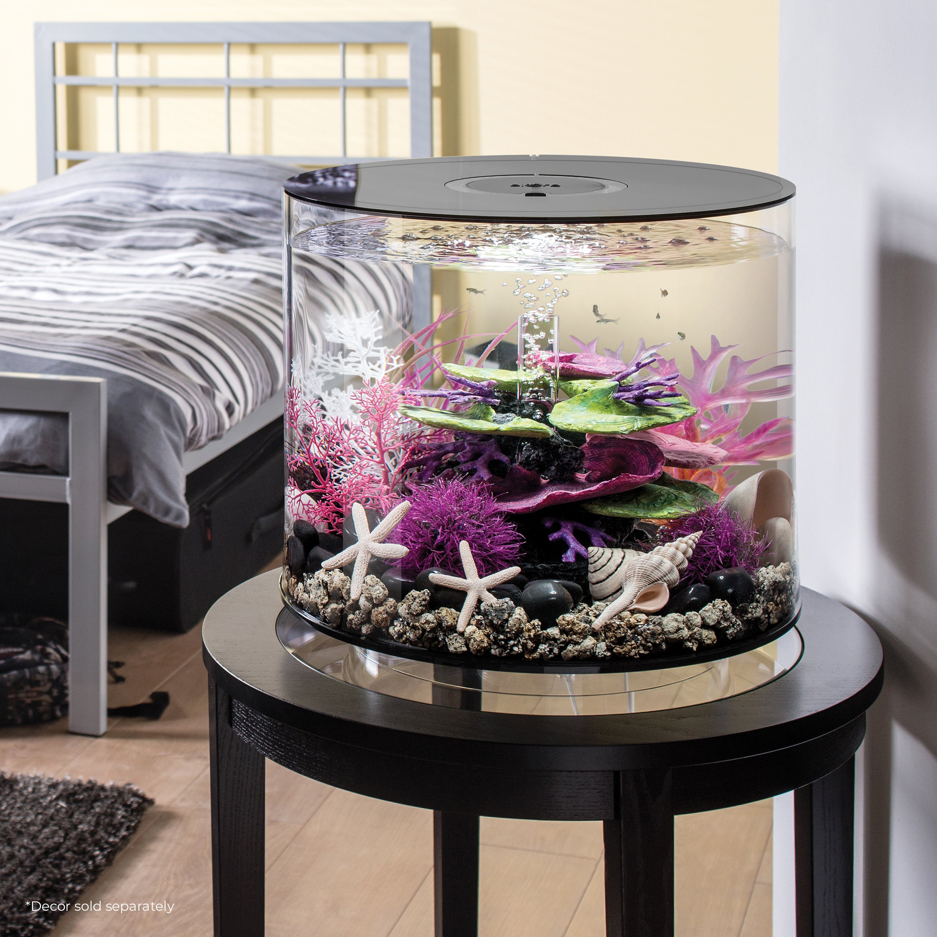 biOrb TUBE 35 Aquarium with Standard Light - 9.2 gallon, black
