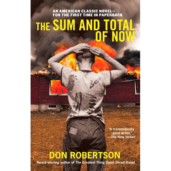Pre-Owned The Sum and Total of Now (Paperback) 0425230848 9780425230848