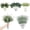 Dandelion-120pcs, variant on 120 Pcs 4 Kinds Mixed Eucalyptus Leaves Stems Bulk Artificial Silver Dollar Leaves Picks Dried Eucalyptus Bundle Faux Spray for Wedding Vase Bouquet Floral Arrangement