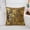 ZZ Coffee, variant on Zhi Modern Velvet Sofa Cushion Set Soft Velvet Pillow for Home Living Room and Bedside Decor Cozy Comfortable Cushion Set