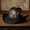 CH-1, variant on United States 250th Anniversary Cowboy Hat,1776-2026 US Independence Western Felt Hat with Patriotic Eagle and Liberty Bell
