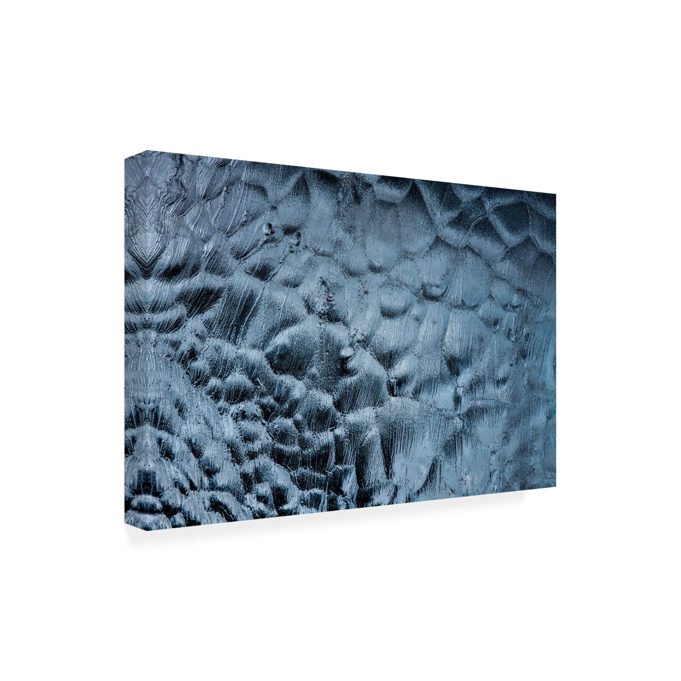 Trademark Fine Art Luigi Ruoppolo Ice Textures Canvas Wall Art
