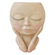 thumbnail image 1 of JShteea Cara Cabeza Estatua Maceta Macetas para Plantas Suculentas Maceta Nórdica (A), 1 of 7