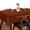 Rust, variant on HEIRLOOM COMFORT Rust Cotton Tablecloth, Tabletop 52x70 Inch, Fits 4-6 Seats, Soft, Durable, Washable, Wrinkle Resistant, Rectangle Table Cloth for Dining, Thanksgiving, Fall Decor, Family Gathering