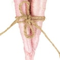 thumbnail image 6 of Northlight Straw Carrot Easter Decorations - 9"- Pink and Green - Set of 3, 6 of 6