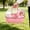 Pink, variant on 2026 Upgrade Portable Hamster Carrier Cage, Cat Ear Bubble Travel Case with Wheel and Water Bottle, Small Pet Outgoing Habitat for Gerbil