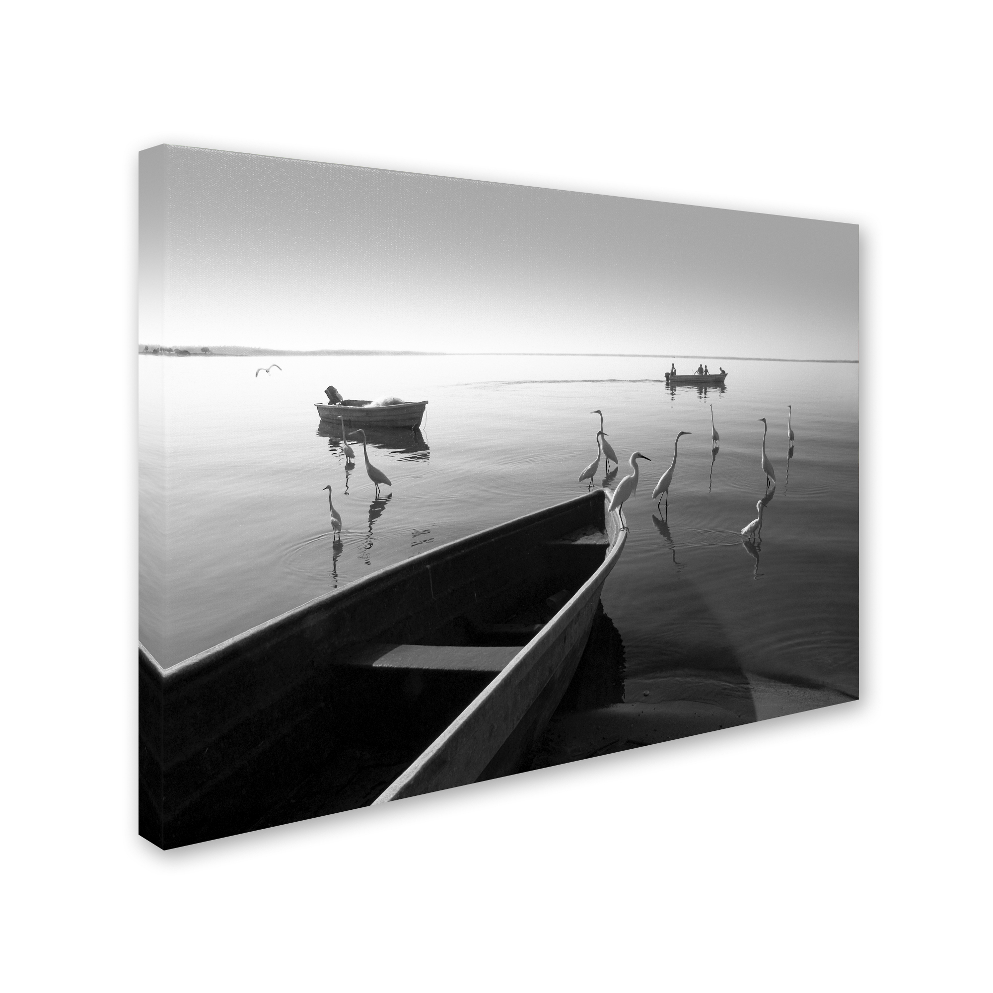 Trademark Fine Art "Herons and 3 Boats" Canvas Art by Moises Levy
