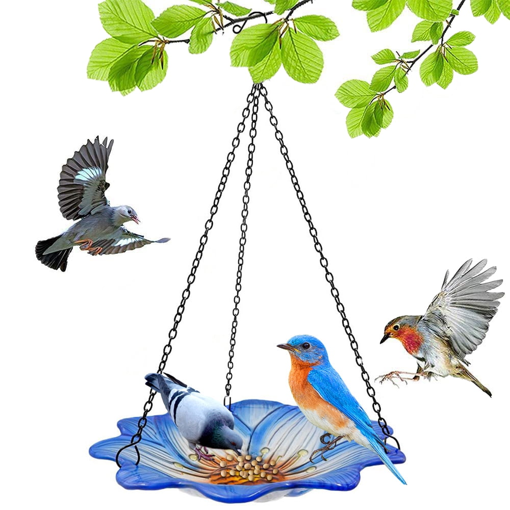 10 inch Glass Bird Feeder Hanging Tray, Bird Bath Bowl, Hummingbird