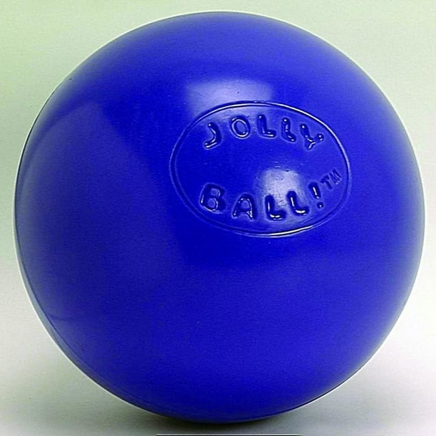 Jolly Pets PushNPlay Ball Durable Dog Toy, 6inch