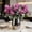 Purple, variant on Partheme 12in Realistic Artificial Tulips 5 Head Cluster Faux Flowers, Silk Bouquet for Weddings Parties Hotels Living Room Decor, 6 Colors, Red