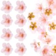 thumbnail image 1 of VERDANVERSE Flores Falsas De Seda Para Manualidades De Bodas Y Eventos Multicolor, 1 of 6