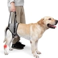thumbnail image 1 of HUGFEGWE Dog Sling for Dogs Hind Leg Support, Dog Sling Lift Harness for Back Legs Rehabilitation, Powerful Support Hook and Loop Closure Adjustable Strap Large Elderly Dogs Lift Harness CA919-121576, 1 of 8