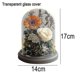 thumbnail image 2 of Eternal Preserved Real Sunflower Flowers In Glass Dome, For Teachers Day, Birthday, Wedding, Xmas, 2 of 5