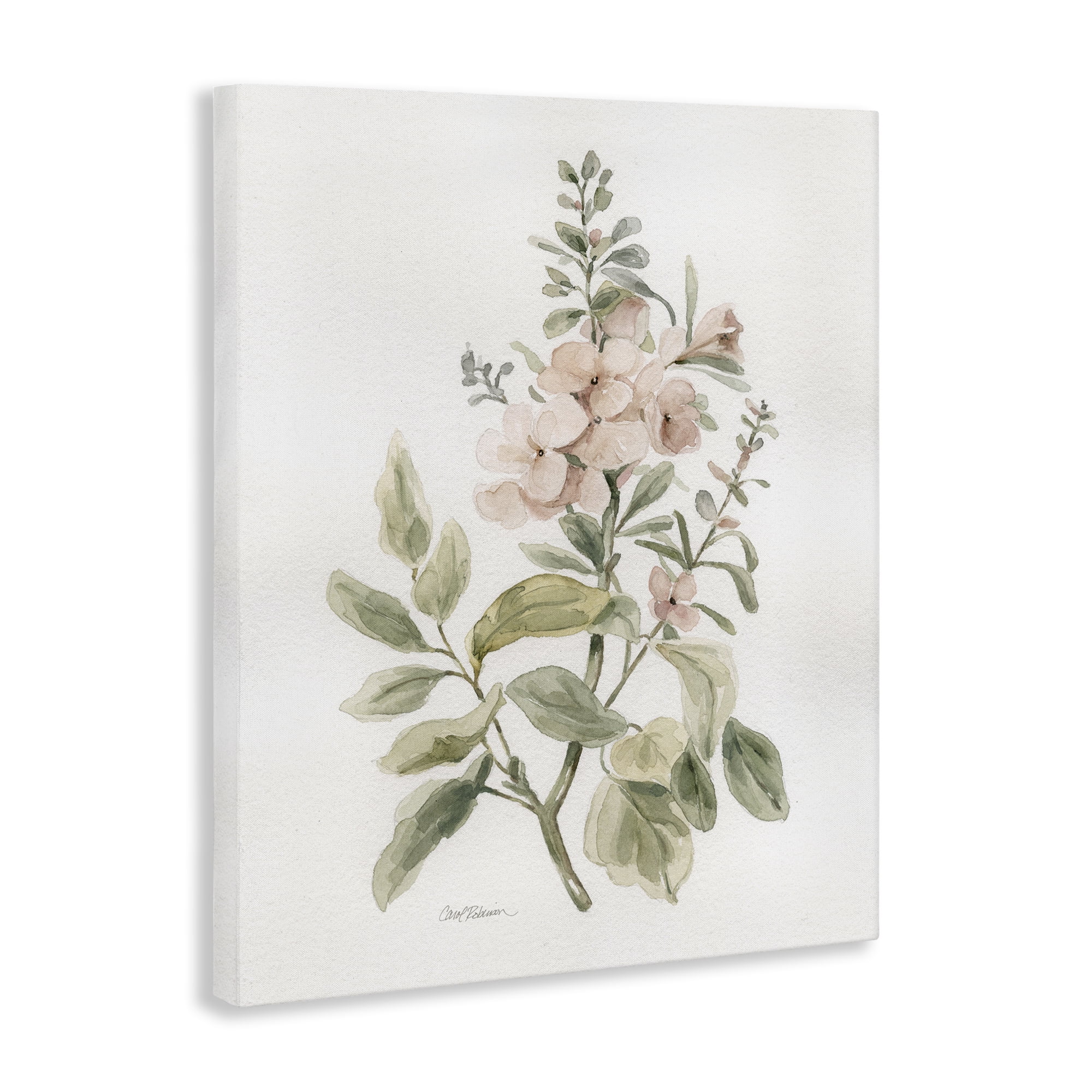 Stupell Industries Dainty Blooming Botanical Plants & Flowers Painting Wrapped Canvas Art Print Wall Art, 24 x 30