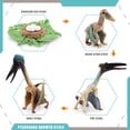 thumbnail image 3 of Juego de dinosaurio realista Sunnimix 4 piezas Pterosaurio, 3 of 8