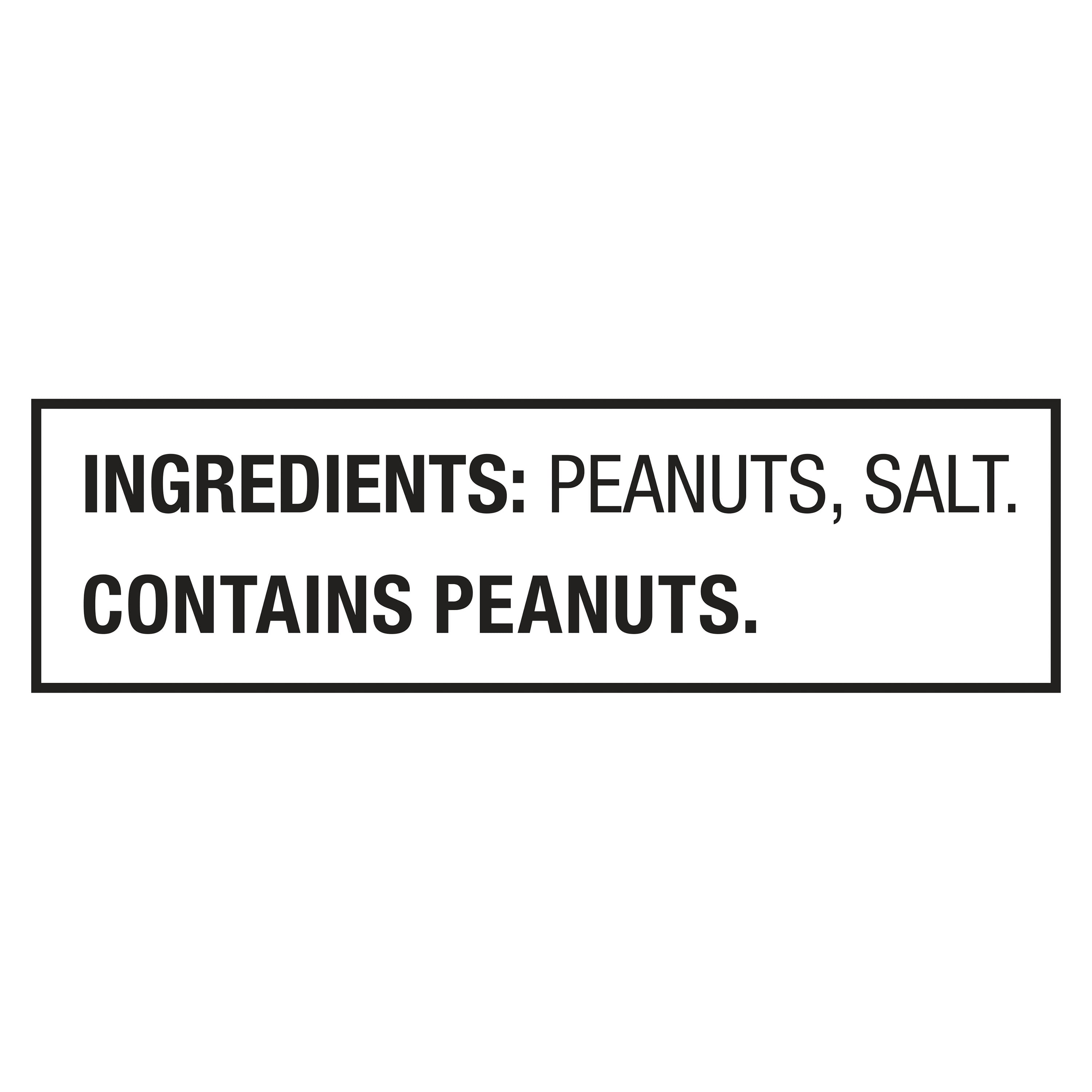 Great Value Salted & Roasted in Shell Peanuts, 20 oz
