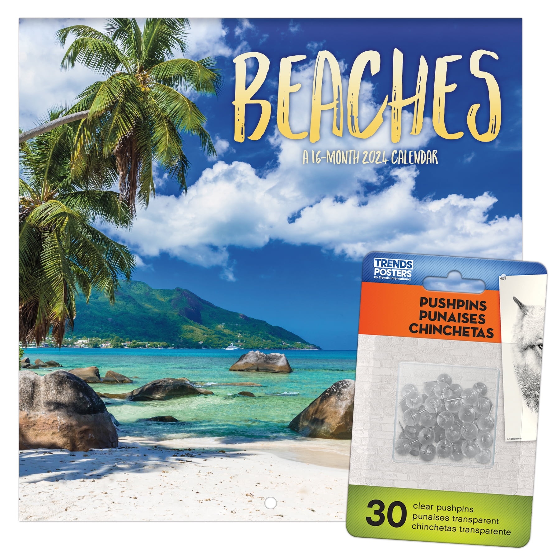 Trends International 2024 Beaches Mini Wall Calendar & Push Pins & Push