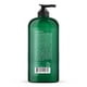 thumbnail image 2 of Champú Botanic Hearth con aceite de menta con queratina 480 ml, 2 of 6